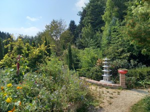 2025-09-09 029 (800x600)